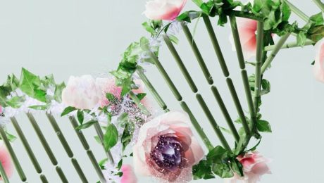 BiotechBeauty-Sanjana-Balani-1400x480